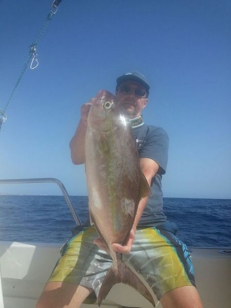 Amberjack Cavalier & Blue Marlin Sport Fishing Gran Canaria