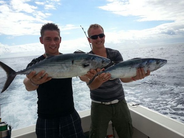 North Atlantic Bonito's Cavalier & Blue Marlin Sport Fishing Gran Canaria