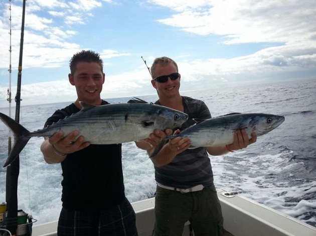 North Atlantic Bonito's Cavalier & Blue Marlin Sport Fishing Gran Canaria