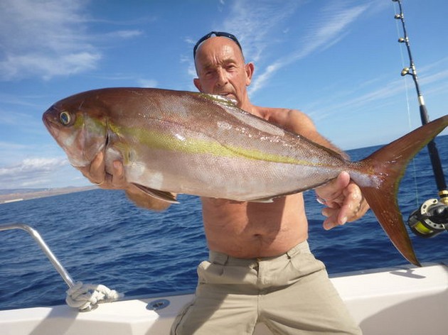 Amberjack caught by Leo Haak from Holland Cavalier & Blue Marlin Sport Fishing Gran Canaria