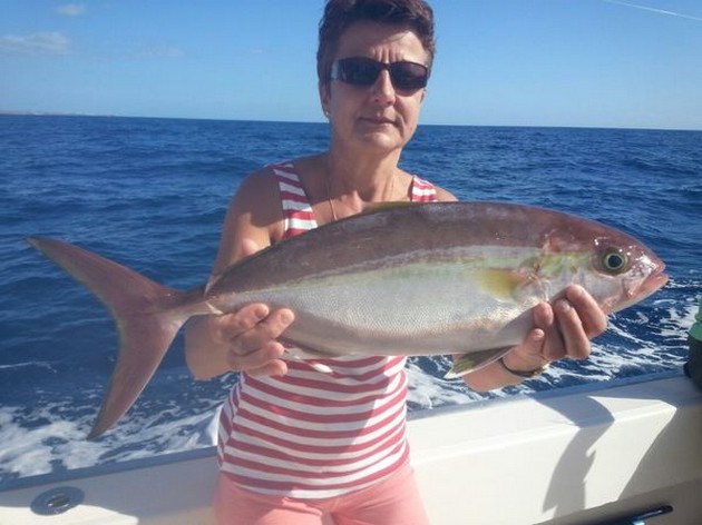 Amberjack Cavalier & Blue Marlin Sport Fishing Gran Canaria