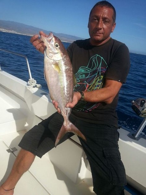 Amberjack Cavalier & Blue Marlin Sport Fishing Gran Canaria