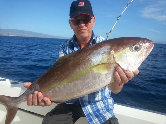 Amberjack Cavalier & Blue Marlin Sport Fishing Gran Canaria