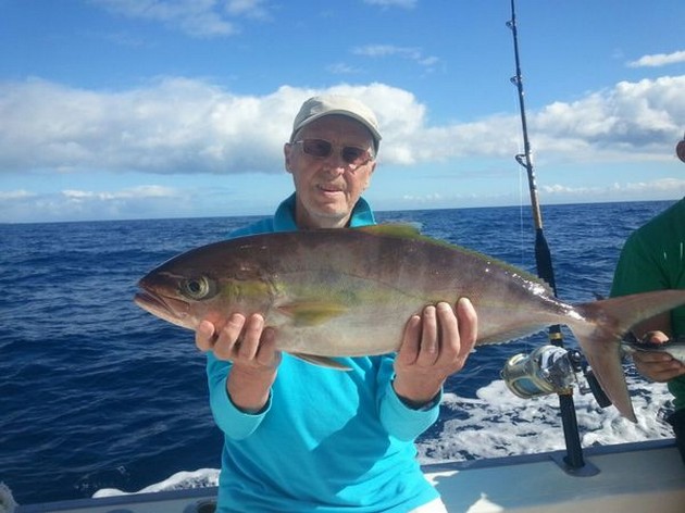 Amberjack Cavalier & Blue Marlin Sport Fishing Gran Canaria