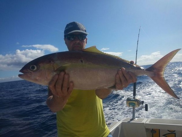 Amberjack Cavalier & Blue Marlin Sport Fishing Gran Canaria