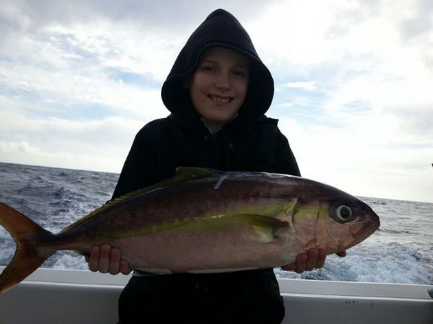 Amberjack Cavalier & Blue Marlin Sport Fishing Gran Canaria