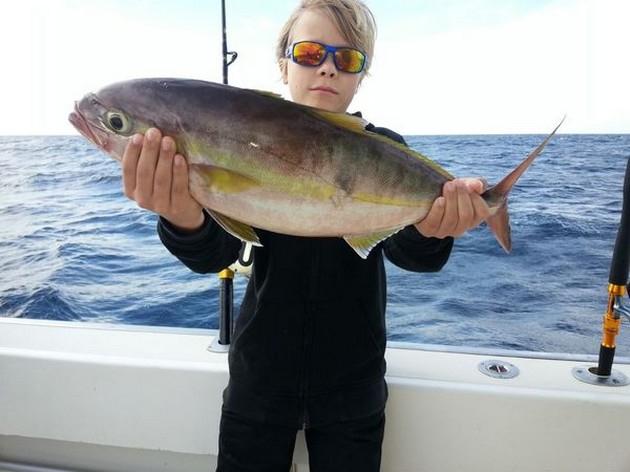 Amberjack Cavalier & Blue Marlin Sport Fishing Gran Canaria