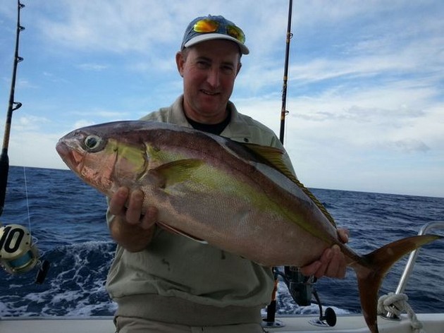 Amberjack Cavalier & Blue Marlin Sport Fishing Gran Canaria