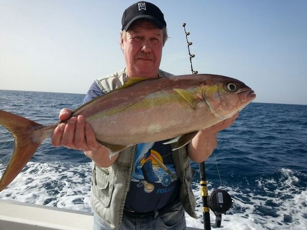 Amberjack Cavalier & Blue Marlin Sport Fishing Gran Canaria