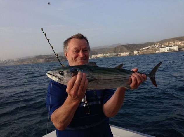 North Atalntic Bonito Cavalier & Blue Marlin Sport Fishing Gran Canaria