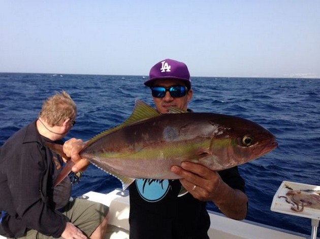 Amberjack Cavalier & Blue Marlin Sport Fishing Gran Canaria
