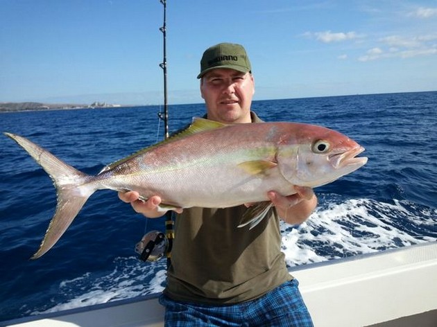 Amberjack Cavalier & Blue Marlin Sport Fishing Gran Canaria