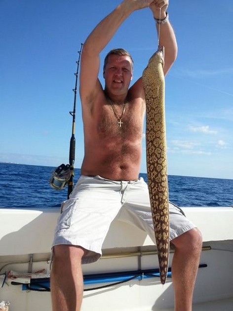 Tiger Moray Cavalier & Blue Marlin Sport Fishing Gran Canaria