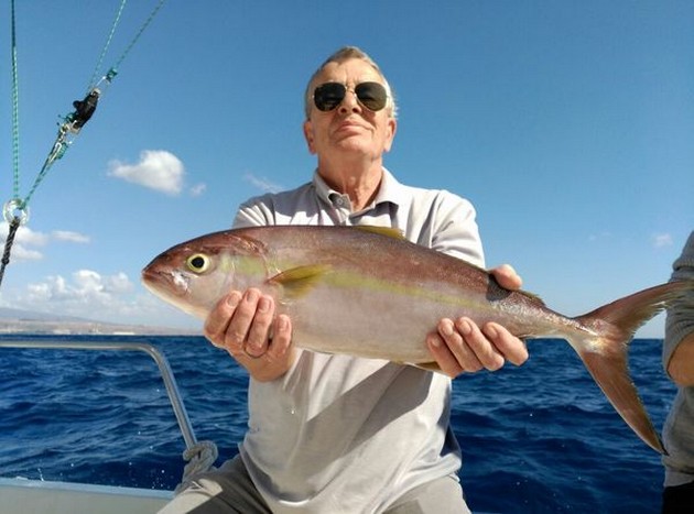 Amberjack Cavalier & Blue Marlin Sport Fishing Gran Canaria