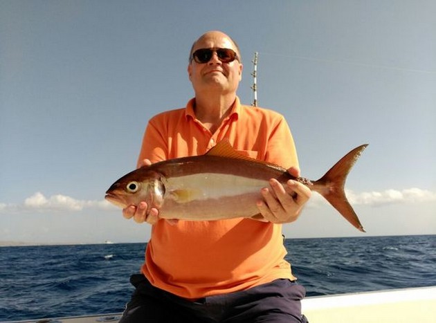 Amberjack Cavalier & Blue Marlin Sport Fishing Gran Canaria