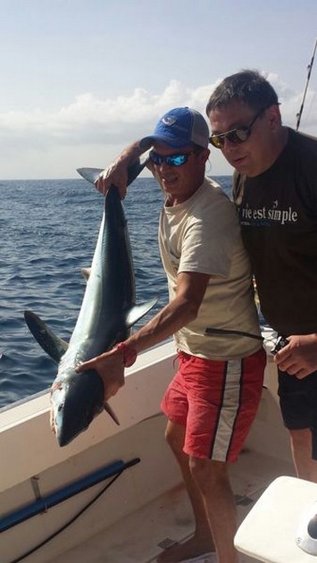 Mako Shark - Maka Shark caught on the Cavalier by Magnat Claude from Belgium Cavalier & Blue Marlin Sport Fishing Gran Canaria