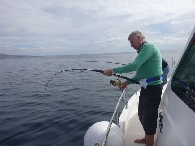 Hooked up Cavalier & Blue Marlin Sport Fishing Gran Canaria