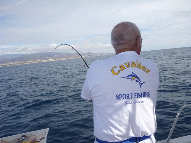 Hooked Up Cavalier & Blue Marlin Sport Fishing Gran Canaria