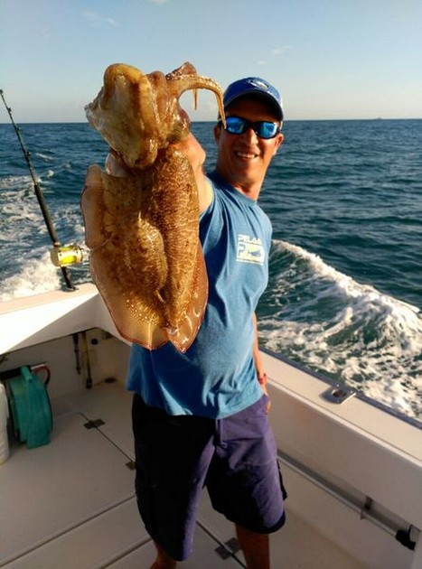 Cuttlefish Cavalier & Blue Marlin Sport Fishing Gran Canaria
