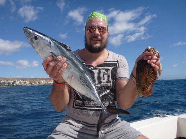 North Atlantic Bonito Cavalier & Blue Marlin Sport Fishing Gran Canaria