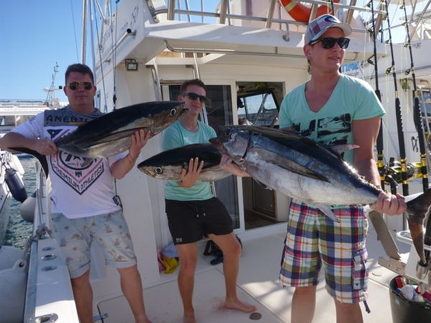 3 Albacores voor de boot Cavalier Cavalier & Blue Marlin Sport Fishing Gran Canaria