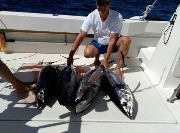 Opnieuw succesvolle vangsten op de Cavalier Cavalier & Blue Marlin Sport Fishing Gran Canaria