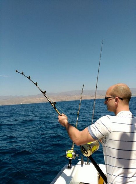 Hooked up Cavalier & Blue Marlin Sport Fishing Gran Canaria