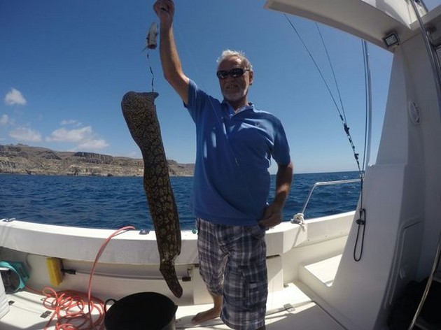 Tiger Moray Cavalier & Blue Marlin Sport Fishing Gran Canaria