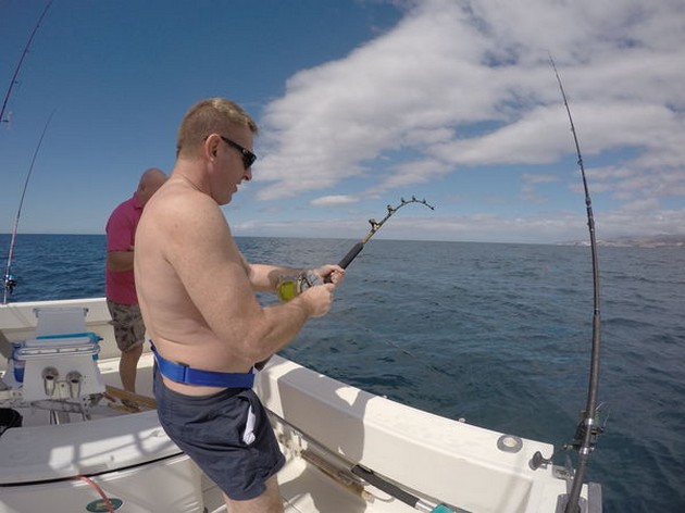 Hooked up Cavalier & Blue Marlin Sport Fishing Gran Canaria