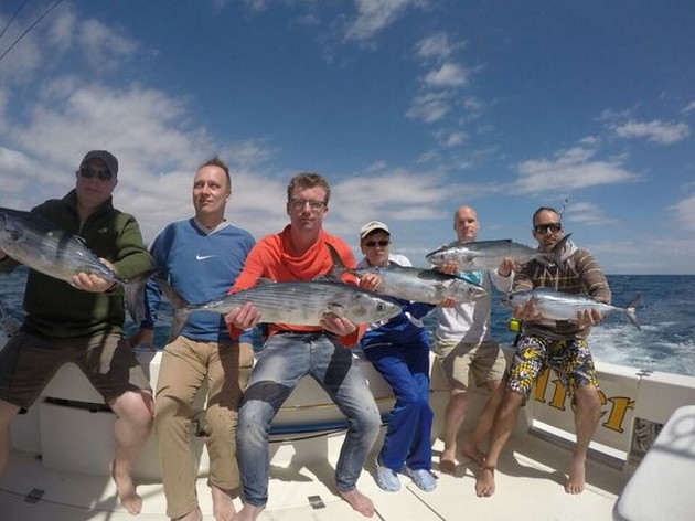 Successful Cavalier & Blue Marlin Sport Fishing Gran Canaria