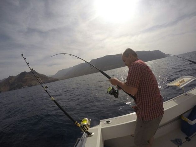 Bigeye & Bluefin Tuna Cavalier & Blue Marlin Sport Fishing Gran Canaria