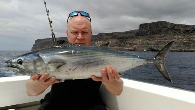 North Atlantic Bonito caught by Danny Bernard Cavalier & Blue Marlin Sport Fishing Gran Canaria