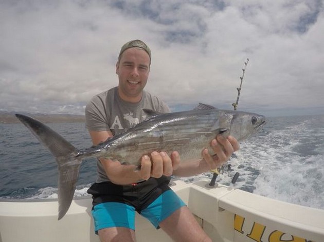 North Atlantic Bonito caught by Andy Otte from Holland Cavalier & Blue Marlin Sport Fishing Gran Canaria