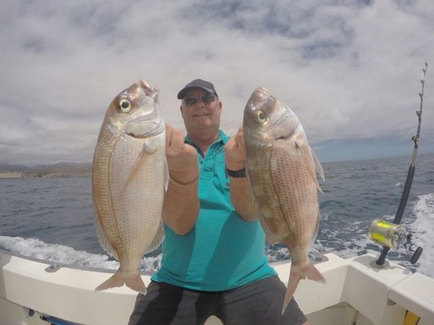 Red Snappers - Two Red Snappers caught by Jan van der Deijl from Holland Cavalier & Blue Marlin Sport Fishing Gran Canaria