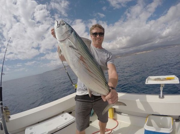 2 fullständiga stadgar Cavalier & Blue Marlin Sport Fishing Gran Canaria
