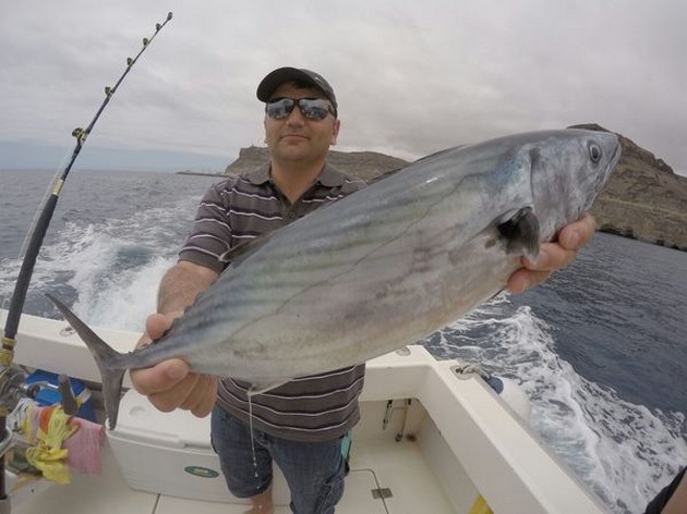 Första marlinbett rapporterades Cavalier & Blue Marlin Sport Fishing Gran Canaria