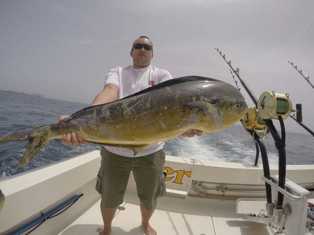 Dorado - Michael Rausch from Germany Cavalier & Blue Marlin Sport Fishing Gran Canaria