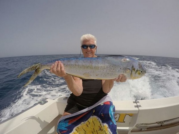 Dorado - Denise from England on the boat Cavalier Cavalier & Blue Marlin Sport Fishing Gran Canaria