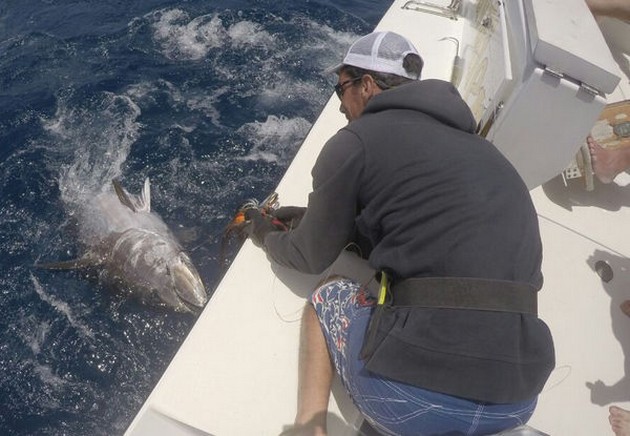 Hooked Up Cavalier & Blue Marlin Sport Fishing Gran Canaria