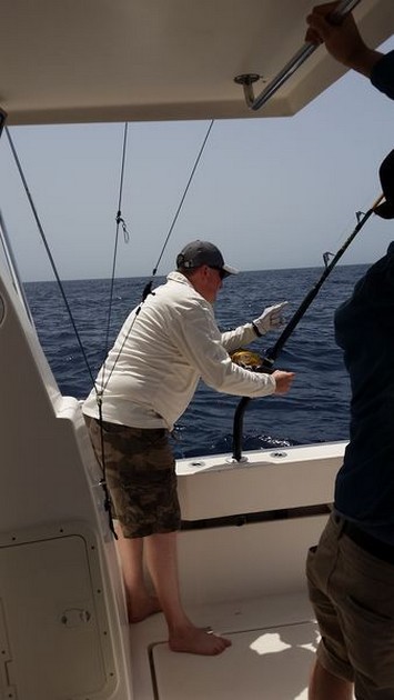 Hooked Up - Darrel Cooper from the United Kingdom Cavalier & Blue Marlin Sport Fishing Gran Canaria