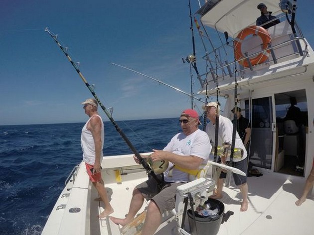 Hooked up Cavalier & Blue Marlin Sport Fishing Gran Canaria