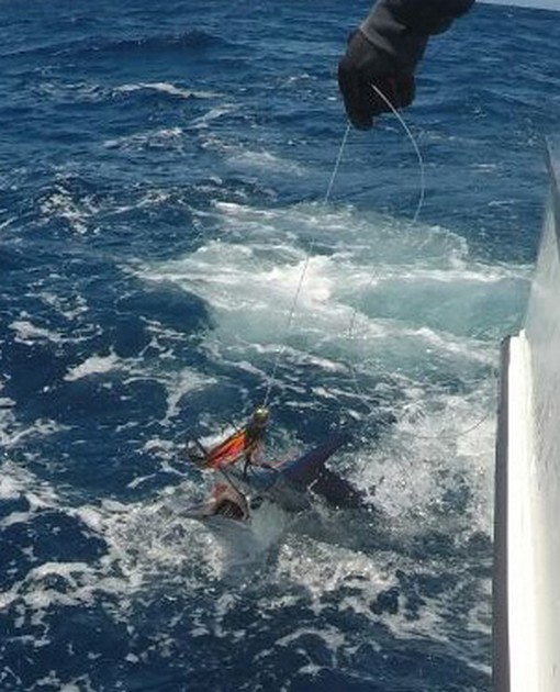 Spearfish Cavalier & Blue Marlin Sport Fishing Gran Canaria