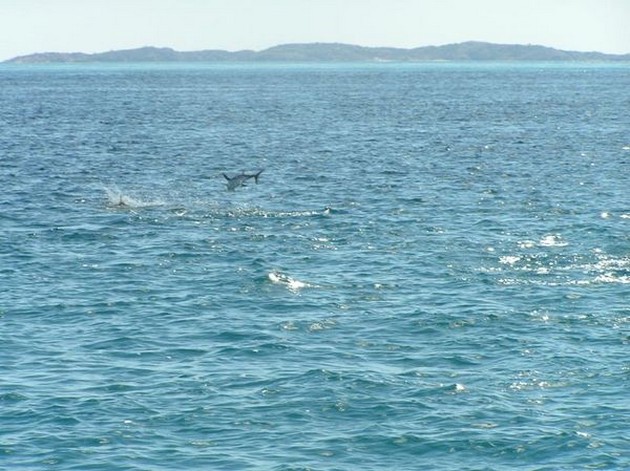 All good things come to an end. Cavalier & Blue Marlin Sport Fishing Gran Canaria