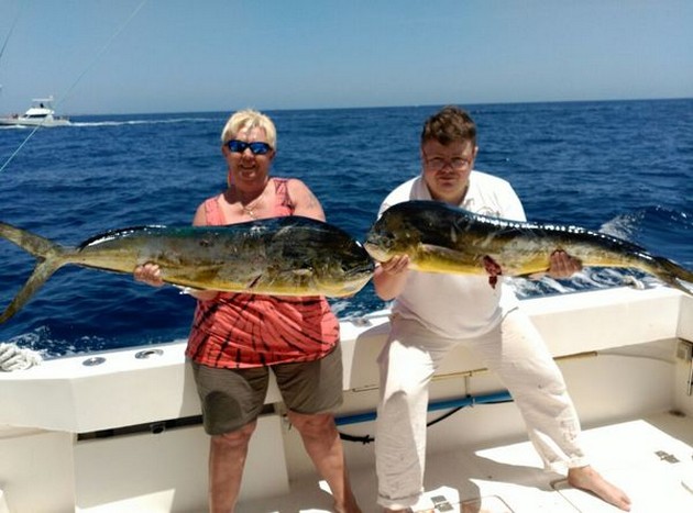 Dorado's Cavalier & Blue Marlin Sport Fishing Gran Canaria