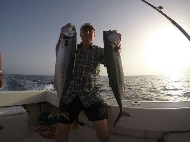 North Atlantic Bonito Cavalier & Blue Marlin Sport Fishing Gran Canaria