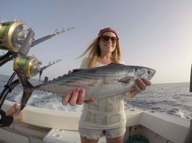North Atlantic Bonito Cavalier & Blue Marlin Sport Fishing Gran Canaria