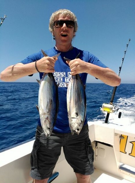 Skipjack Tuna Cavalier & Blue Marlin Sport Fishing Gran Canaria