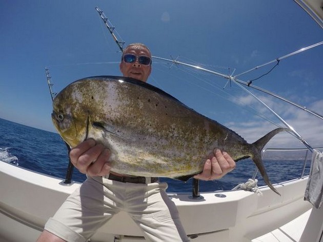 Dorado caught by John Powell from the United Kingdom Cavalier & Blue Marlin Sport Fishing Gran Canaria