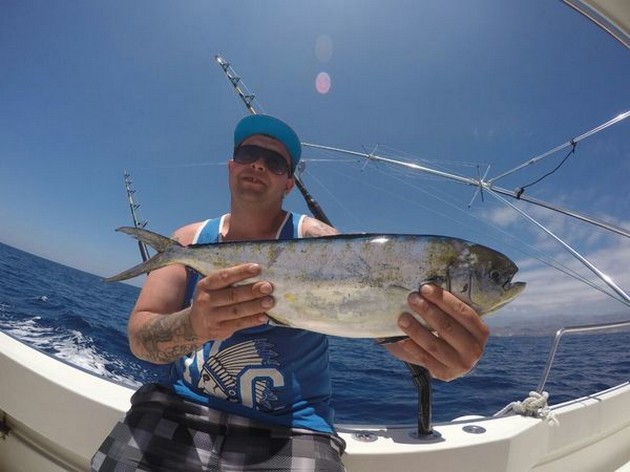 Dorado Cavalier & Blue Marlin Sport Fishing Gran Canaria