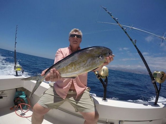 Dorado Cavalier & Blue Marlin Sport Fishing Gran Canaria